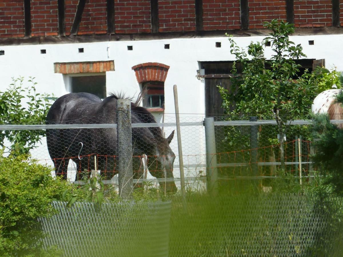 Ferienhaus Arendsee Arendsee  Bagian luar foto
